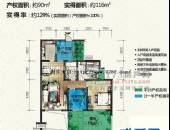 凯丽美域,户型图,点击放大