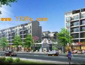 金丽花香,小区环境,点击放大