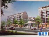 金丽花香,小区环境,点击放大