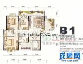 龙博御景,户型图,点击放大