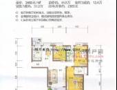 劲力蓝色理想,户型图,点击放大