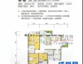 劲力蓝色理想,户型图,点击放大