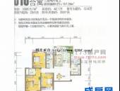 劲力蓝色理想,户型图,点击放大