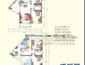 阳光印象,户型图,点击放大