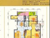 利通天鹅堡,户型图,点击放大