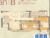 西城天下,户型图,点击放大