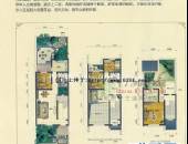 梵谷源,户型图,点击放大