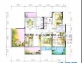 花样年花郡,户型图,点击放大