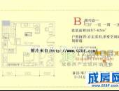 金璐天下,户型图,点击放大