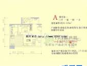 金璐天下,户型图,点击放大