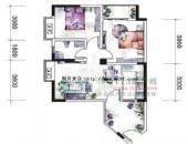 翡翠半岛国际社区,户型图,点击放大