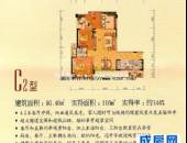 正成拉斐,户型图,点击放大