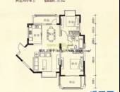 齐力·棕榈湖国际社区,户型图,点击放大