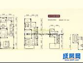 齐力·棕榈湖国际社区,户型图,点击放大