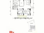 宗申·塞纳维,户型图,点击放大