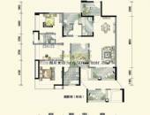 中房金沙海棠,户型图,点击放大