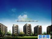 金色海伦-外观图