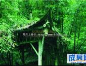 九韵青城,小区环境,点击放大