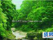 九韵青城,小区环境,点击放大