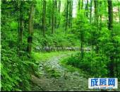 九韵青城,小区环境,点击放大