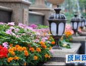 凯斯顿华府三期,小区环境,点击放大