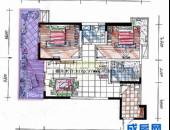 双峰嶺,户型图,点击放大