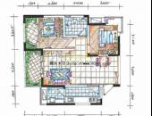 双峰嶺,户型图,点击放大