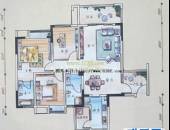 丰怡阳光,户型图,点击放大