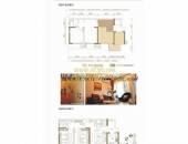 万科海悦汇城,户型图,点击放大