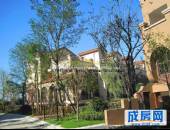 桂溪欧苑,小区环境,点击放大