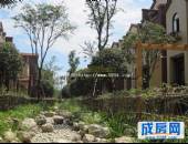 桂溪欧苑,小区环境,点击放大