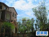 桂溪欧苑,小区环境,点击放大