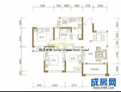 交大香悦,户型图,点击放大