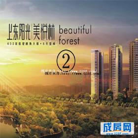 上东阳光美悦林-外观环境图