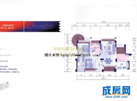 戛纳湾滨江-户型图