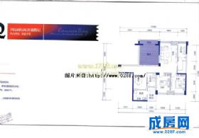 戛纳湾滨江-户型图